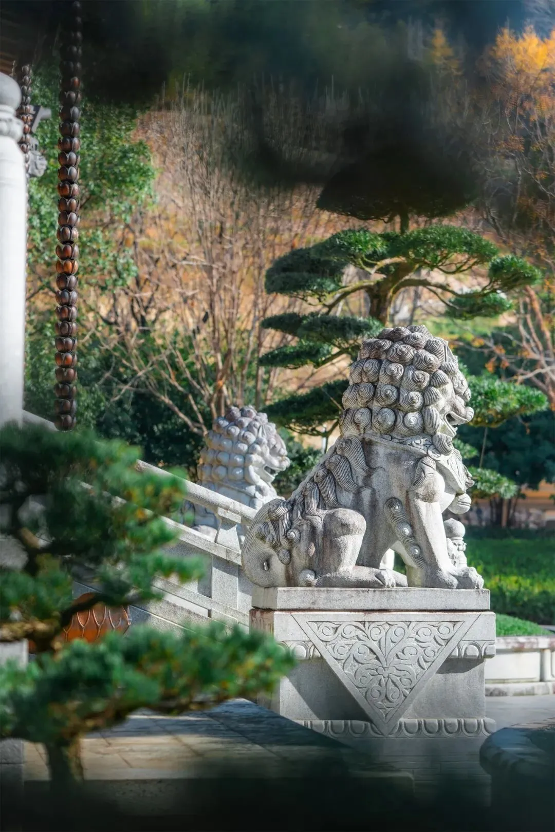 守（摄影：法舟）