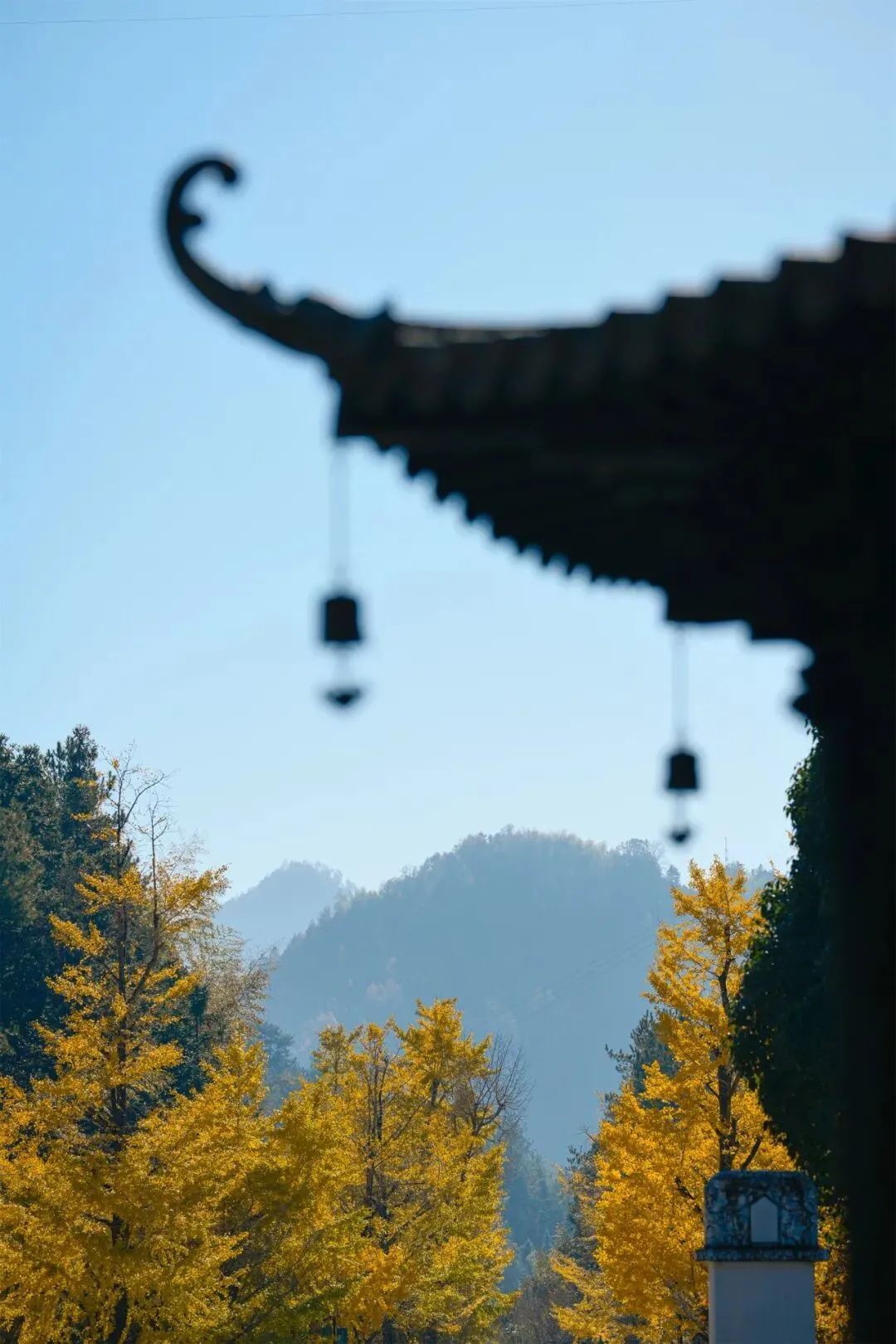 古檐望秋（摄影：法舟）