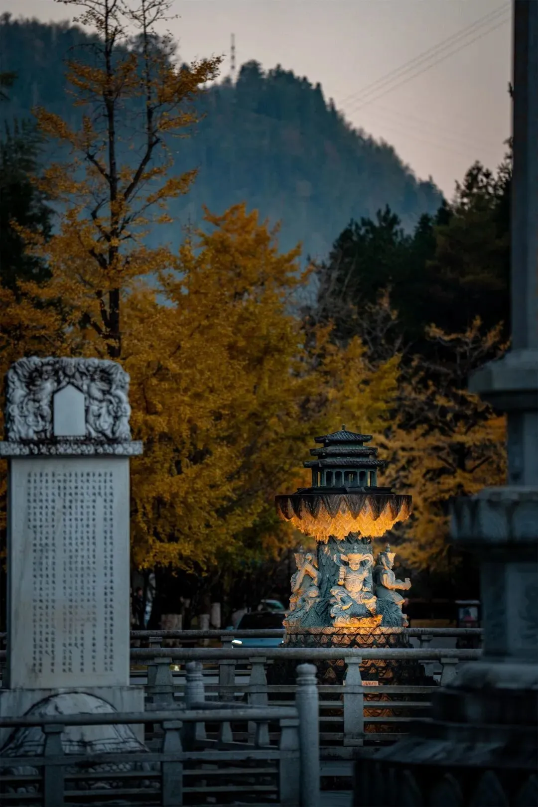 金叶梵音（摄影：艺净）