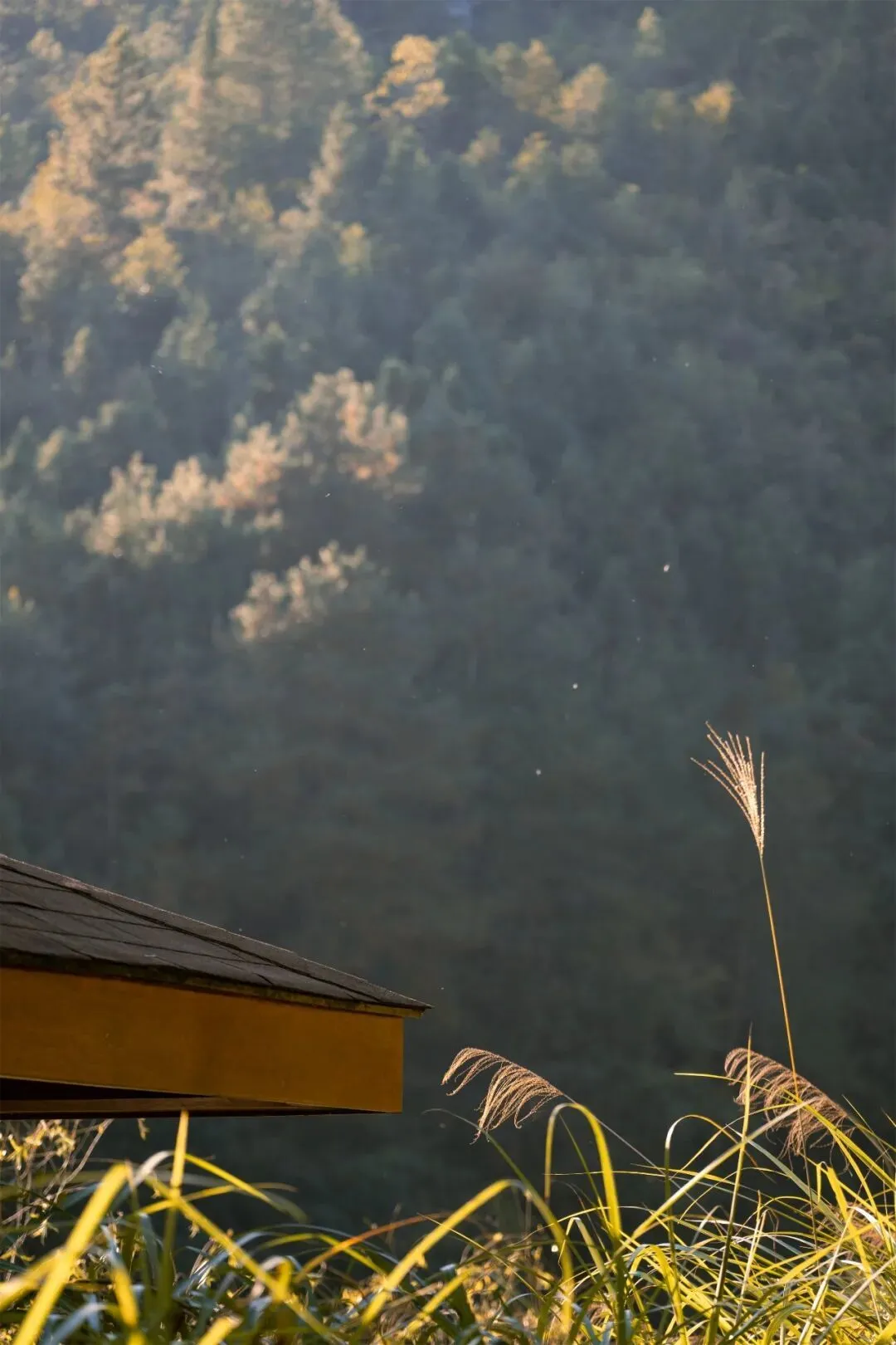 光芒（摄影：法舟）